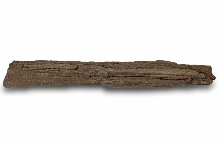 Permineralized Wood Covered In Sparkling Quartz - Germany #307007